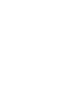 System Integration for Kids Play Park 'ToyKingdomPlay'