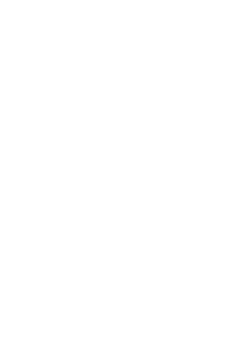Volkswagen Korea Dealer Management System Open